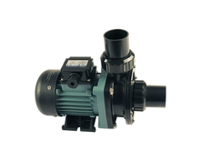 Load image into Gallery viewer, Emaux ST Series Pump - poolandspa.ph