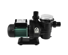 Load image into Gallery viewer, Emaux SC and SCUS Series Pump - poolandspa.ph