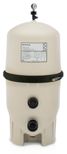 Load image into Gallery viewer, Pentair FNS® PLUS FILTER - poolandspa.ph