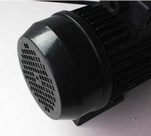 Load image into Gallery viewer, Aquascape APR Pool Pumps - poolandspa.ph