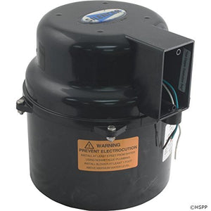 HAYWARD AIR SUPPLY BLOWER (AIR PUMP), 220 VOLTS - poolandspa.ph