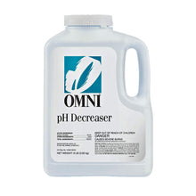 Load image into Gallery viewer, HAYWARD POOL CHEMICALS - poolandspa.ph