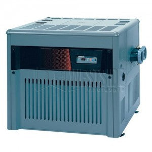 HAYWARD H-SERIES GAS HEATER - poolandspa.ph