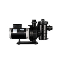 Load image into Gallery viewer, AQUASPEC SPECTRA INGROUND POOL PUMPS - ASP-L
