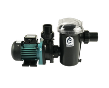 Load image into Gallery viewer, Emaux SD &amp; SDUS Series Pump - poolandspa.ph