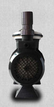 Load image into Gallery viewer, Aquascape APR Pool Pumps - poolandspa.ph