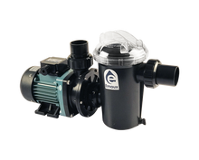 Load image into Gallery viewer, Emaux SD &amp; SDUS Series Pump - poolandspa.ph