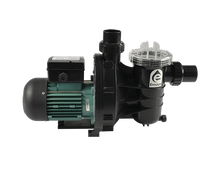 Load image into Gallery viewer, Emaux SS Series Pump - poolandspa.ph