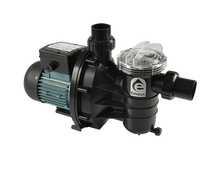 Load image into Gallery viewer, Emaux SS Series Pump - poolandspa.ph