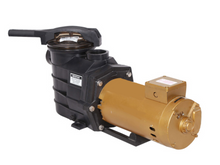 Load image into Gallery viewer, Aquascape Round Type ASP Pool Pumps - poolandspa.ph