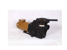 Load image into Gallery viewer, Aquascape Round Type ASP Pool Pumps - poolandspa.ph