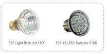Load image into Gallery viewer, Emaux Housing Type Underwater Light and Accessories - S100 Series - poolandspa.ph