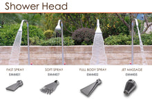Load image into Gallery viewer, Emaux Shower Heads - poolandspa.ph