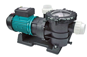 Astral STP Type Pump - poolandspa.ph