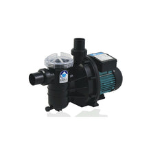 Load image into Gallery viewer, Emaux SS Series Pump - poolandspa.ph