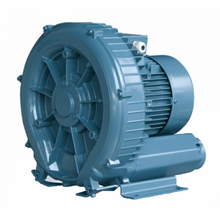 Load image into Gallery viewer, Emaux HB Series Commercial Air Blower - poolandspa.ph