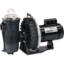 Load image into Gallery viewer, Pentair Challenger High Flow Pump - poolandspa.ph