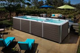 Endless Pools X2000 Swim Spa - poolandspa.ph