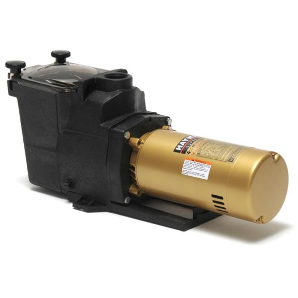Hayward Super Pump