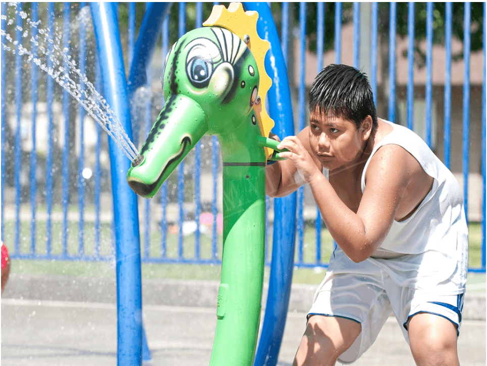 Water Play Animal Spray